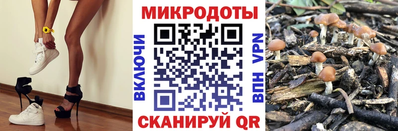 Псилоцибиновые грибы прущие грибы  Каменка 